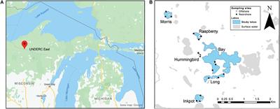 Diversity Metrics Are Robust to Differences in Sampling Location and Depth for Environmental DNA of Plants in Small Temperate Lakes